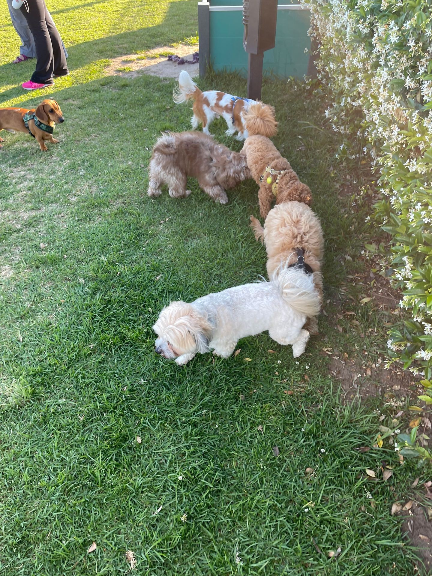 Social Playgroup Sessions